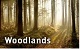 Woodlands