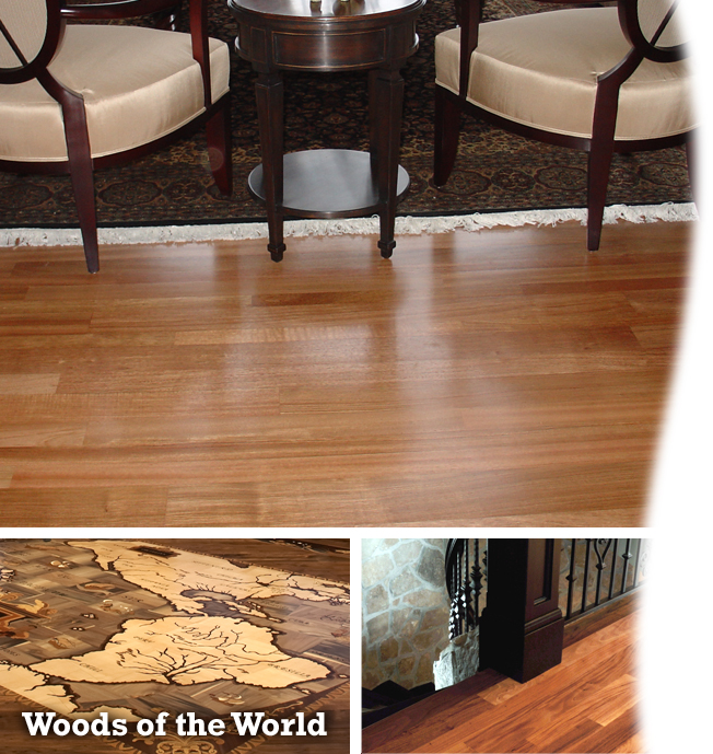 Woods of the World