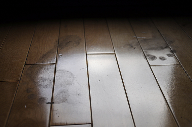 Kids and Dogs Don't Mind Mud, and Neither Do Hardwood Floors