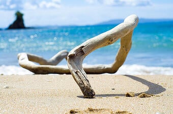 The Driftwood…You’ll be tempted to vacation at home.