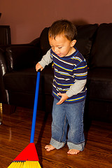 hardwood floor maintenance