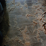 sawdust floor