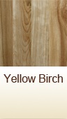 yellow birch