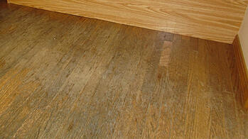 Sara_Dorn-McGuire_Winner_floor_closeup