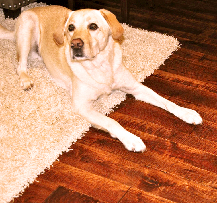 Skip_Sawn_Hickory_Dog