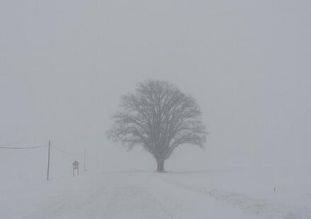 Polar Vortex