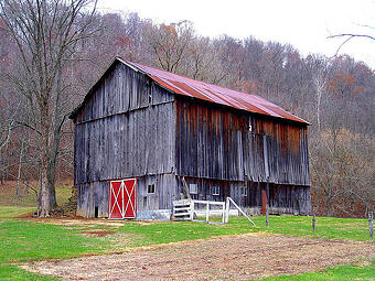 Reclaimed Barn Wood