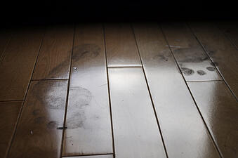 Kids and Dogs Don't Mind Mud, and Neither Do Hardwood Floors