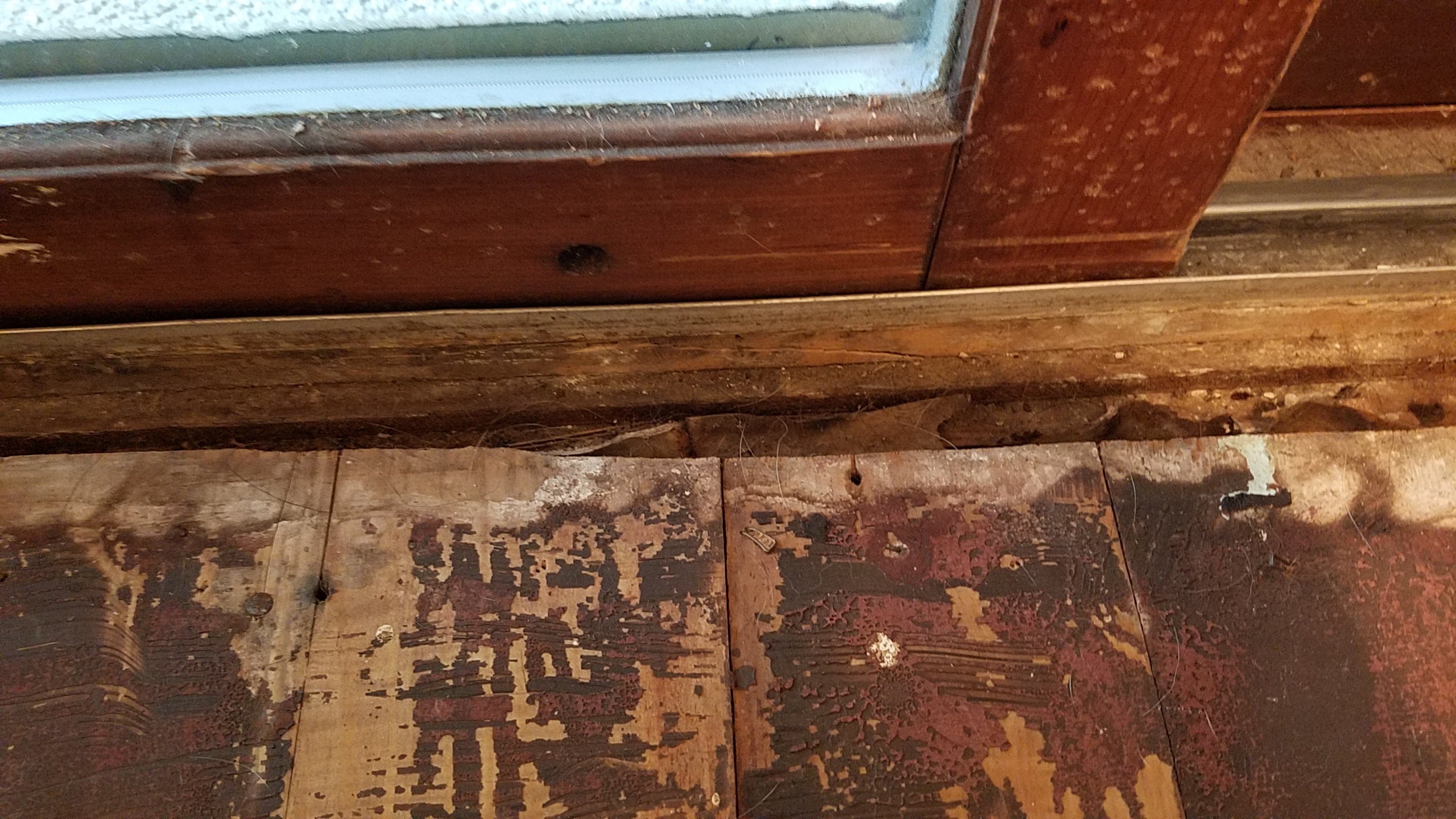 Bringing Worn Hardwood Floors Back To Life Before And After