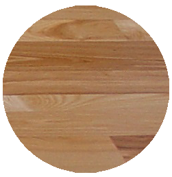 ash-circle.png