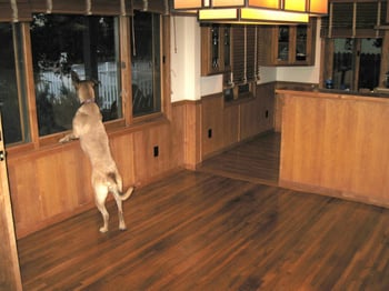 The more durable hardwood floors are, the better they can stand up to wear caused by pets, chidren, heavy traffic, etc.