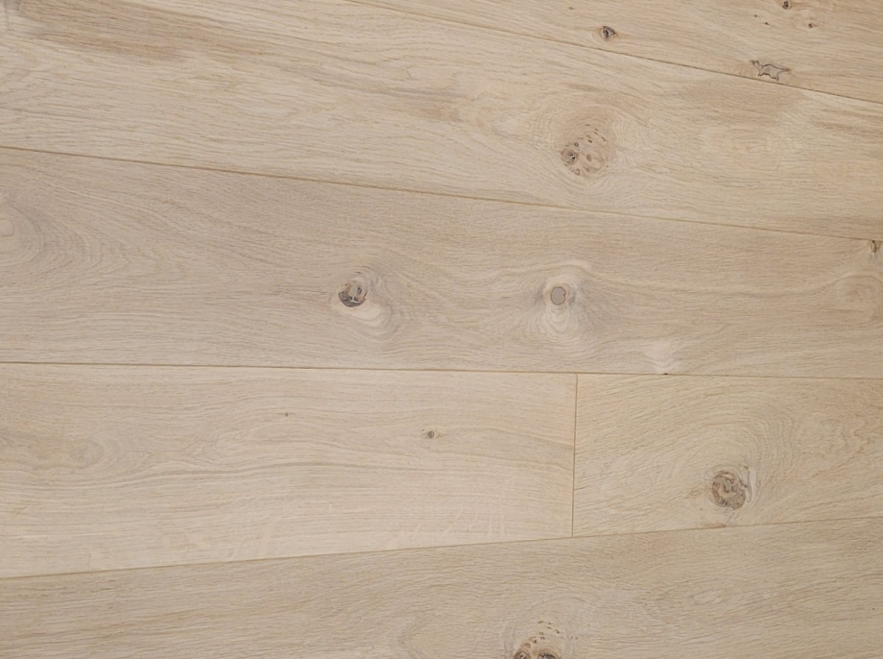 European_Oak_resized